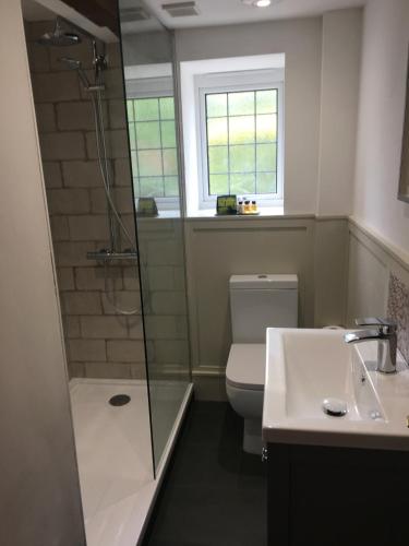 a bathroom with a shower and a toilet and a sink at Wartling Place Country House in Wartling
