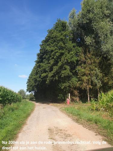 a dirt road next to a large tree at Eden in Sint-Pauwels