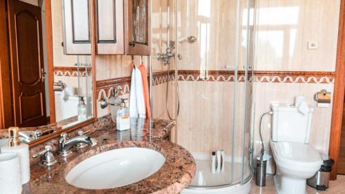 a bathroom with a sink and a toilet at Villa Avoti in Sigulda