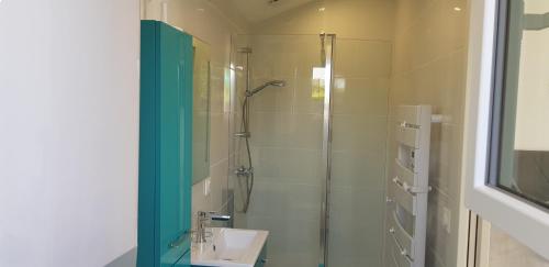 uma casa de banho com uma cabina de duche em vidro e um lavatório. em Chambre d'hôtes Entre-deux Lacs em Biscarrosse