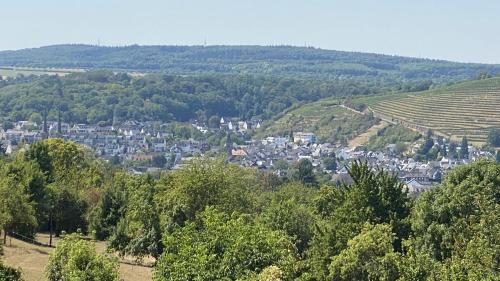 eine Stadt in einem Tal mit Bäumen und Weinbergen in der Unterkunft Chebello in Koblenz