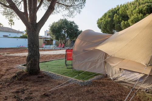 Gallery image of Glamping La Mimosa CONIL in Conil de la Frontera