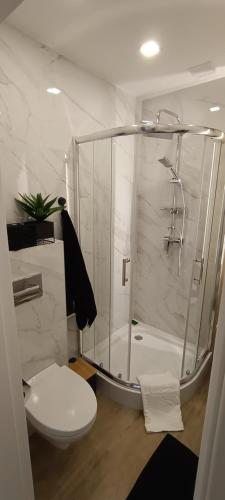 Kúpeľňa v ubytovaní Apartament Serbańska 1/3