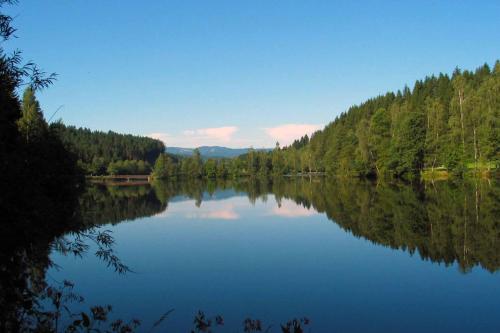a view of a lake with trees on the shore at Ferienhaus Meineke in Regen