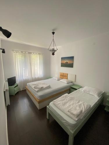 a bedroom with two beds and a window at Pensiunea Sandra in Bran