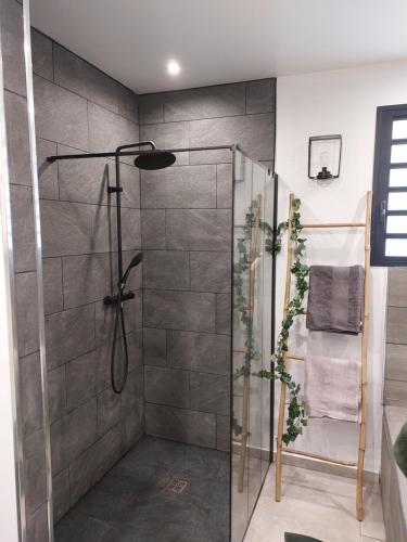 W łazience znajduje się prysznic ze szklanymi drzwiami. w obiekcie L'escale des deux rivières w mieście Saint-Joseph