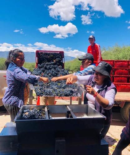 a group of people standing around a container of bees at Estancia Rio de Arena in Colalao del Valle