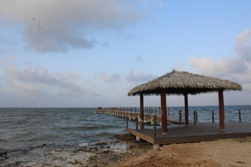 a pier with a straw umbrella and the ocean at Holiday Inn Resort Grand Cayman by IHG in George Town