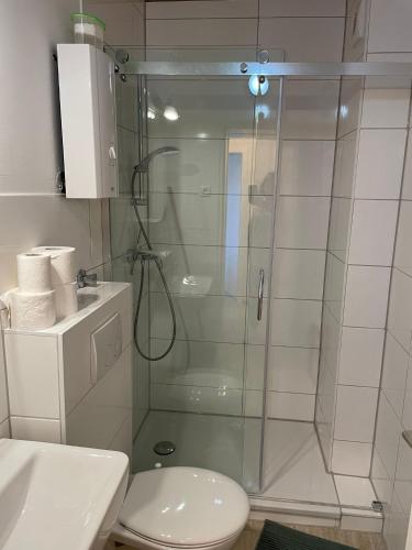 a bathroom with a shower with a toilet and a sink at 40L Luisenstr 5.OG in Castrop-Rauxel