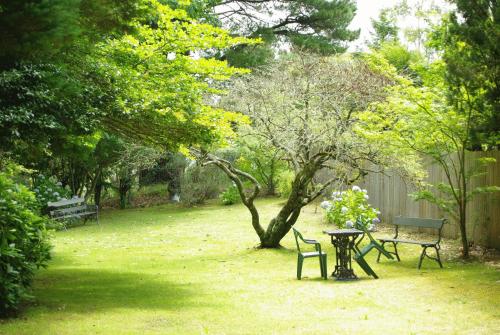 Un jardín fuera de Blackheath Motor Inn