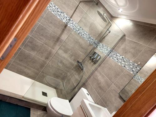 een badkamer met een douche en een toilet bij JARDIN 8 JOZMAR in Alhama de Murcia