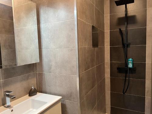 La salle de bains est pourvue d'une douche et d'un lavabo. dans l'établissement L'authentique Doloise Spa, à Dol-de-Bretagne