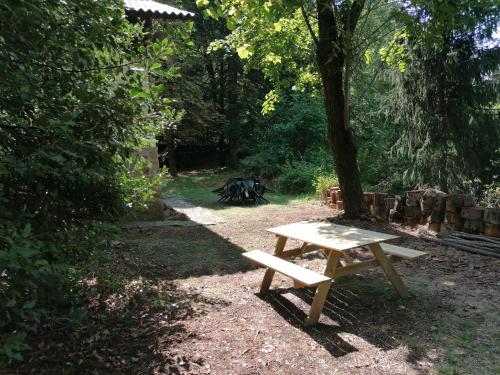 einen hölzernen Picknicktisch im Schatten eines Baumes in der Unterkunft Chalet Le Tyrolien, au coeur du Boréon in Saint-Martin-Vésubie