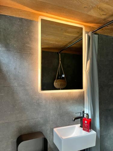 a bathroom with a sink and a mirror at Bramble Tiny House in Zărneşti