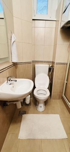 a bathroom with a toilet and a sink at Apartman Lulu 2 in Sarajevo