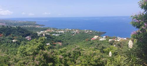 a small town on a hill near the ocean at Label kafé in Bouillante