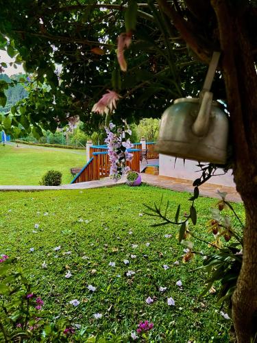 CasaComVida – Photos 5