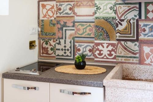 un bancone della cucina con una pianta in vaso sopra di Guest House L'Aranceto a Firenze