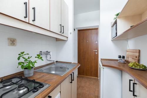 Kuchyň nebo kuchyňský kout v ubytování Apartments Airport Hynka by Arrenda