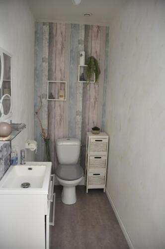 une salle de bain avec toilettes et lavabo dans l'établissement Maison avec piscine, jaccuzi, hammam à 800 m du lac, à Gastes