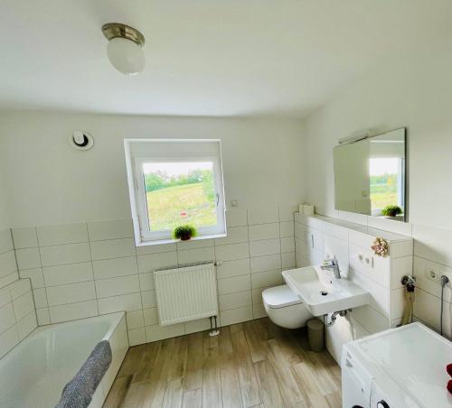 uma casa de banho com um lavatório, um WC e uma banheira em Moderne Ferienwohnung am Rothsee em Hilpoltstein