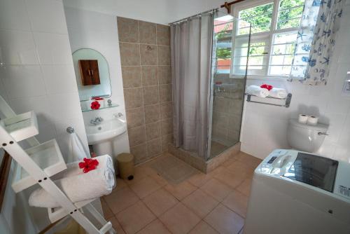 y baño con ducha, aseo y lavamanos. en La Maison Hibiscus Self Catering Accommodation, en Beau Vallon