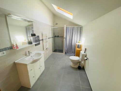 ein Bad mit einem Waschbecken, einem WC und einer Dusche in der Unterkunft Maison proche de Paris/CDG et Disney in Villeparisis