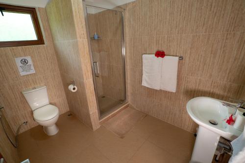 a bathroom with a shower and a toilet and a sink at La Maison Hibiscus Self Catering Accommodation in Beau Vallon