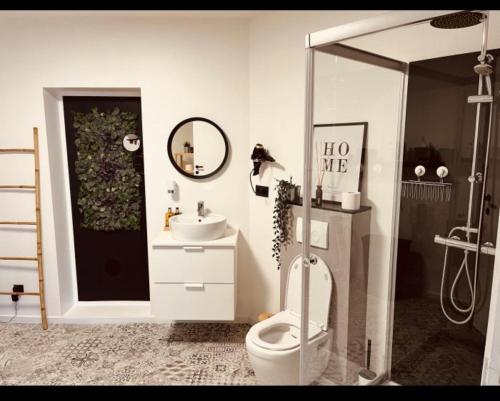 a bathroom with a toilet and a sink at La Villa Bastogne chambre d'hôtes 1 in Bastogne
