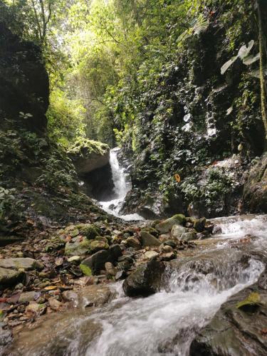 a stream of water flowing down a rocky hillside at Finca TRADICIONAL EL OTOÑO in Pijao