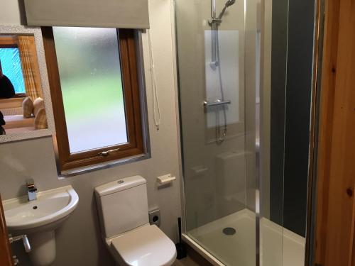 a bathroom with a shower and a toilet and a sink at Rowardennan Hotel in Rowardennan