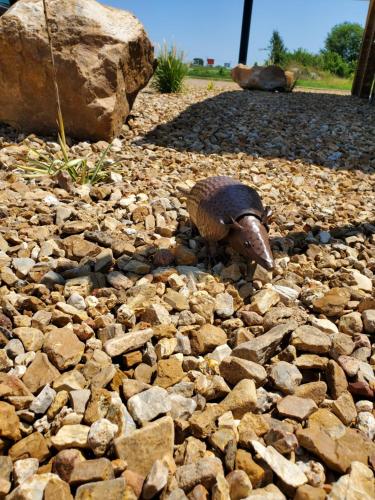 Cactus Inn and Suites – Photos 3