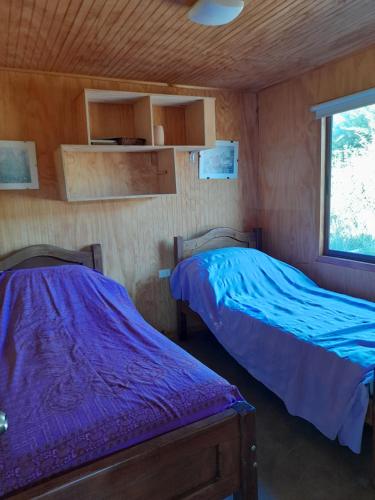 two beds in a room with wooden walls at LOS CLAVELES in Dichato