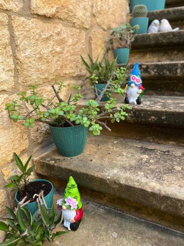 a group of potted plants sitting on some stairs at A charming and cosy townhouse in a quaint village in Sannat