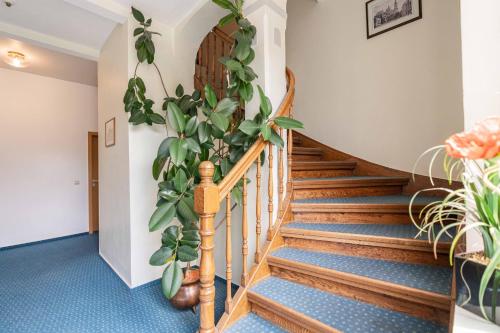 a stairway with a plant on the wall at Hotel am Römerplatz in Ulm