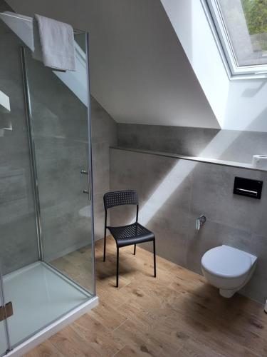 a bathroom with a shower and a toilet at Leśniewo Czarna Góra in Leśniewo