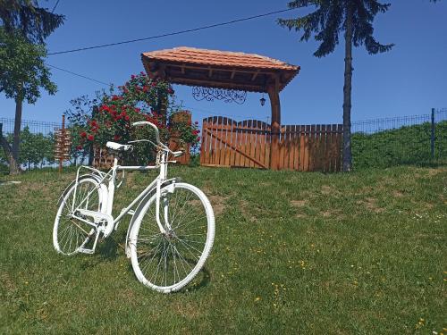 a white bike parked in the grass next to a gazebo at Ranč Sretenović in Mionica
