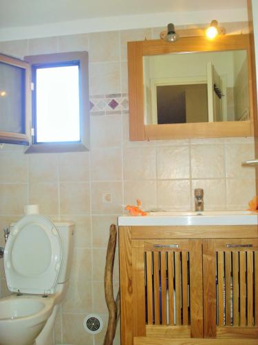 une salle de bain avec toilettes, lavabo et miroir dans l'établissement Le Cabanon, à Farinole