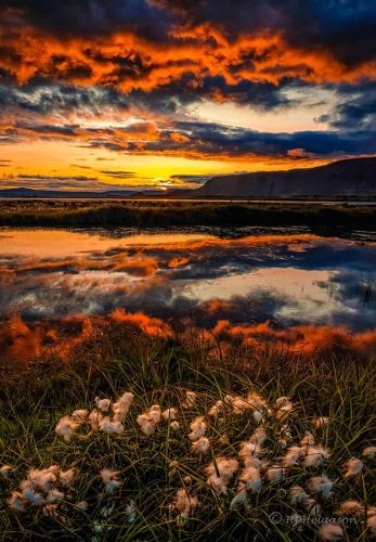 a reflection of a sunset in a body of water at Country Dream - Langholt 2 in Selfoss