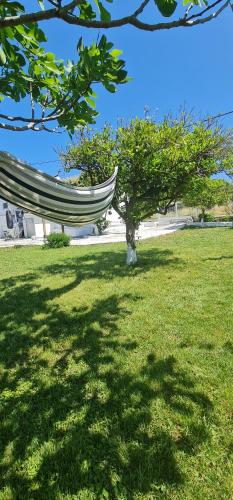 Photo de la galerie de l'établissement Livadi house, à Theologos