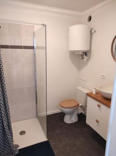 een badkamer met een douche, een toilet en een wastafel bij So Green Stud in Corbeil-Essonnes