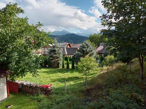 vistas a un patio con casas y árboles en Casa Danci II, en Borşa