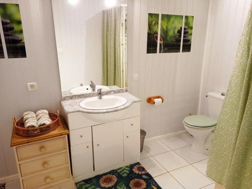 謝爾河畔聖喬治的住宿－Chez Lili，一间带水槽、卫生间和淋浴的浴室