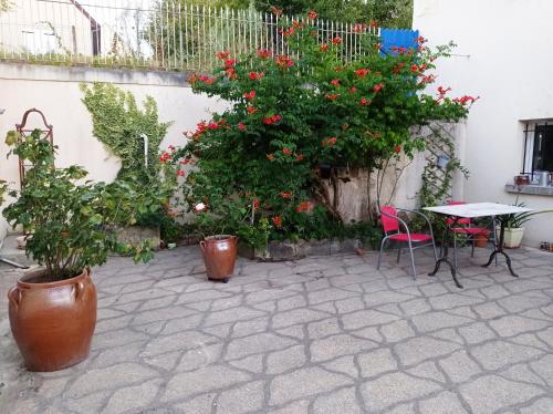 謝爾河畔聖喬治的住宿－Chez Lili，庭院配有桌椅和鲜花