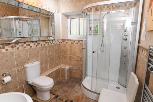 a bathroom with a shower and a toilet and a sink at Luxury Suite in quiet countryside location in Swansea