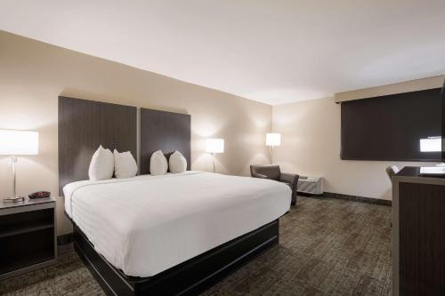 a hotel room with a large bed and a flat screen tv at Best Western Northwest Indiana Inn in Hammond