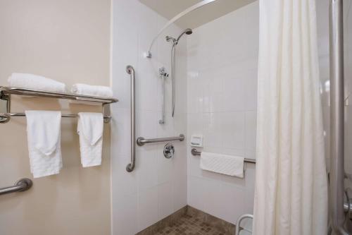 a bathroom with a shower and a shower curtain at Best Western Northwest Indiana Inn in Hammond