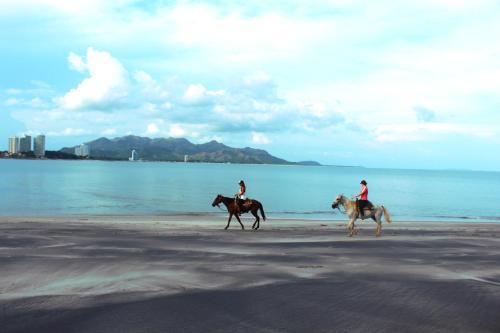 two people are riding horses on the beach at Casa Swell Coronado A unique blend of luxury and nature in the hearth of Coronado in Playa Coronado
