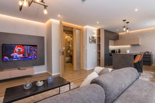 a living room with a couch and a tv on a wall at Mayisa Apartments in Sarajevo