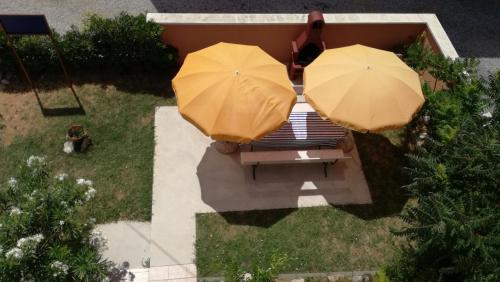 Studio Barbat 11472c – Foto 5